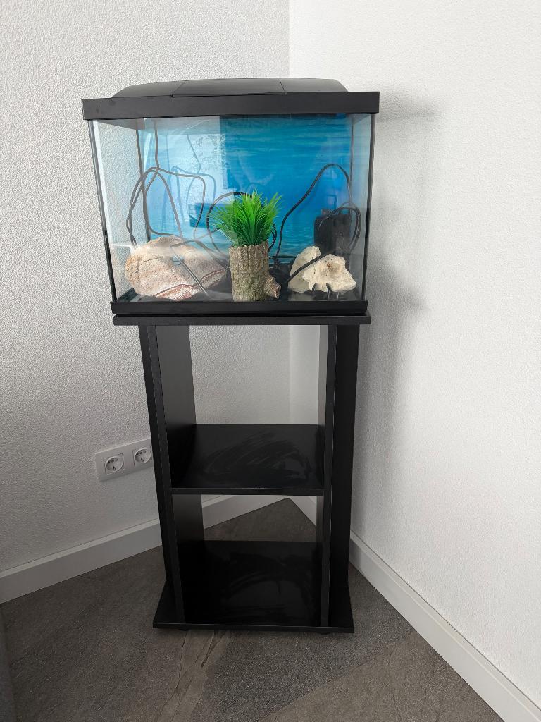 Meubel, Ophalen, Glas, Nieuw, 50 tot 100 cm