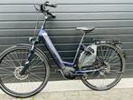 Pegasus Evo8 met bosch active line plus 500wh tube accu, 47 tot 51 cm, Ophalen of Verzenden, Zo goed als nieuw, Overige merken