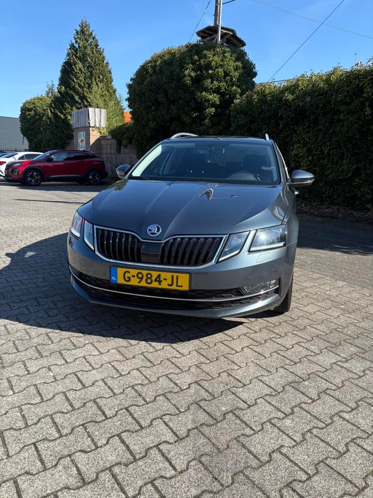 Skoda Octavia 1.0 TSI Greentech 115pk 2019 Grijs, Auto's, Skoda, Particulier, Octavia, Benzine, Euro 5, Stationwagon, Handgeschakeld