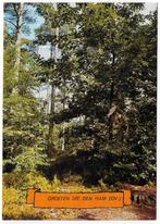 Den Ham Gelopen Ansichtkaart ( B031 ), Verzenden, 1980 tot heden