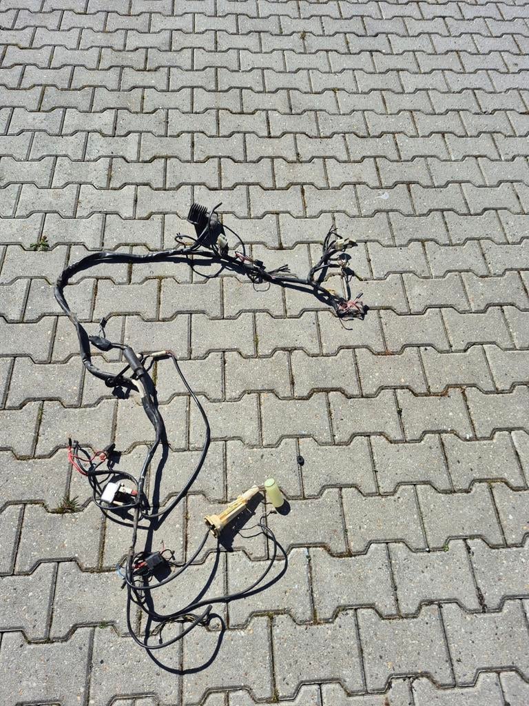 Skipper 125 compleet kabelboom, Ophalen of Verzenden, Nieuw