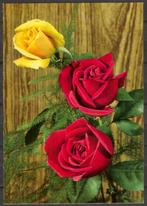 Rozen, Verzenden, 1960 tot 1980, Ongelopen, Overige thema's