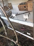 Te koop een hele mooie vogel of konijnen hok, Ophalen of Verzenden, Hout, Vogelkooi