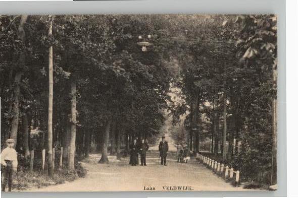 Ermelo Laan Veldwijk st 1910 Prachtkaart