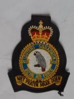NEDERLANDS EMBLEEM ROYAL AIR FORCE, Ophalen of Verzenden, Luchtmacht, Nederland, Embleem of Badge
