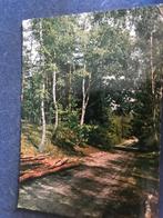 Holten, Ophalen of Verzenden, Voor 1920, Ongelopen, Overijssel