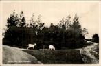 Ouddorp . dijkstelweg, Verzenden, Voor 1920, Gelopen, Zuid-Holland