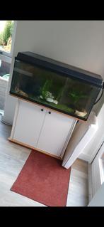 Aquarium 100x40x42, Dieren en Toebehoren, Vissen | Aquaria en Toebehoren, Ophalen, Gebruikt, Leeg aquarium
