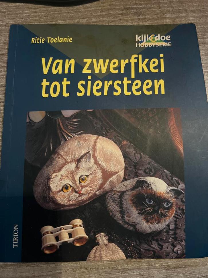 Van Zwerfkei tot Siersteen - Schilderen op Stenen, Boeken, Hobby en Vrije tijd, Zo goed als nieuw, Tekenen en Schilderen, Geschikt voor kinderen