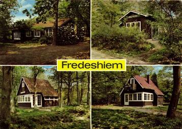 Fredeshiem - De Bult bij Steenwijk - 4 afb. - 1981 gelopen beschikbaar voor biedingen
