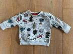 Sweater van Hema 62, Kinderen en Baby's, Babykleding | Maat 62, Truitje of Vestje, Ophalen of Verzenden, Zo goed als nieuw, Hema