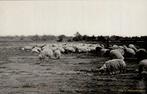 Rolde ., Verzenden, Voor 1920, Ongelopen, Drenthe