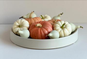 Ronde Keramische Schaal - Fruitschaal/Decoratie beschikbaar voor biedingen