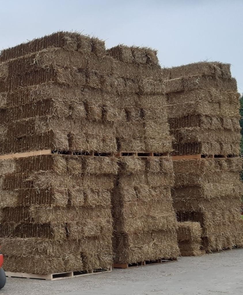 Tarwe stro in kleine pakken van hoge kwaliteit., Ophalen, Vee