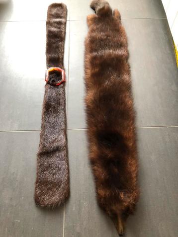 2 in fraaie conditie nerts kragen/ ceintuur beschikbaar voor biedingen