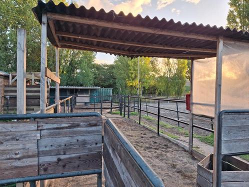 Paddock, stal en weide (Aalsmeerderbrug), Dieren en Toebehoren, Stalling en Weidegang, Stalling, Weidegang, 1 paard of pony