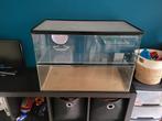 Terrarium, hamsterkooi, Dieren en Toebehoren, Ophalen, Zo goed als nieuw, Kooi, Minder dan 60 cm