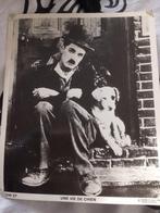 plaat van Charlie Chaplin 1983 Une vie de chien DW 27, Verzamelen, Film en Tv, Gebruikt, Ophalen of Verzenden