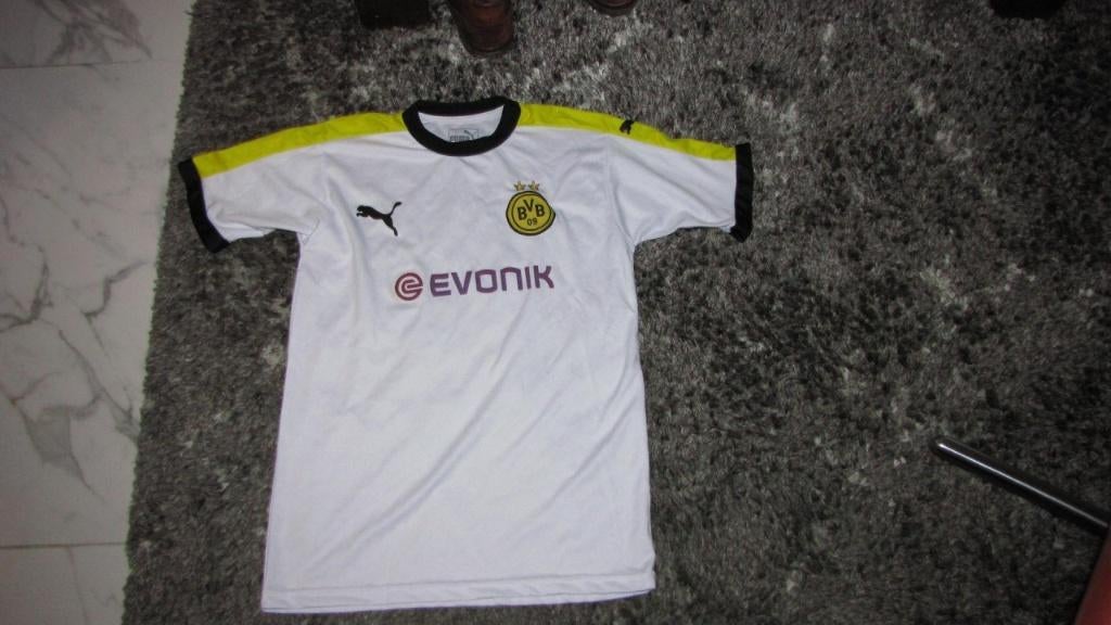small BORUSSIA DORTMUND shirt BVB, Ophalen of Verzenden, Zo goed als nieuw, Maat 46 (S) of kleiner, Voetbal
