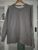 Trui Levi's maat M grijs, Maat 48/50 (M), Ophalen of Verzenden, Grijs, Gedragen