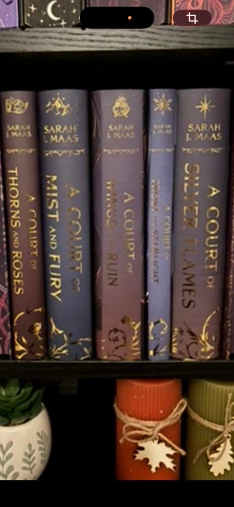 ACOTAR dust jackets, Boeken, Fantasy, Ophalen of Verzenden, Zo goed als nieuw