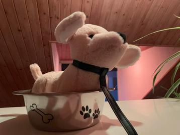 Hondenbak/ hondenknuffel beschikbaar voor biedingen