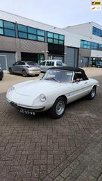 Alfa Romeo 2 liter Duetto Spider, Te koop, Geïmporteerd, Benzine, Open dak