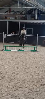 Gezocht verzorg/bijrijd pony of paard, Dieren en Toebehoren, Paarden en Pony's | Verzorgingsproducten, Ophalen of Verzenden