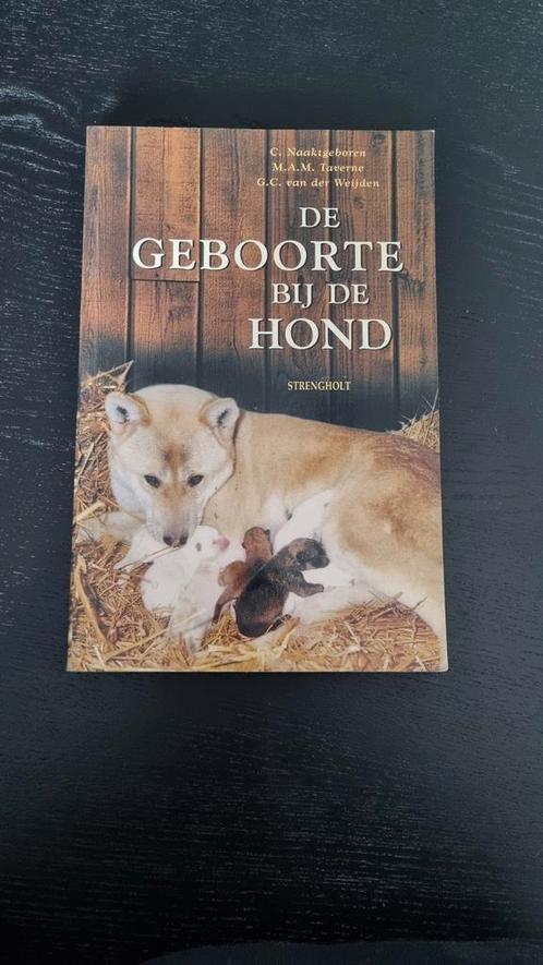 De geboorte bij de hond en zijn wilde verwanten, Boeken, Dieren en Huisdieren, Honden, Ophalen of Verzenden