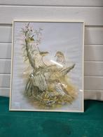 schilderij prent vogels ruane manning, Ophalen of Verzenden
