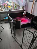 Werpkist en accesoires te huur, Dieren en Toebehoren, Ophalen, Zo goed als nieuw, 110 cm of meer, Minder dan 65 cm