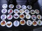 duncan stickers, Verzamelen, Supermarktacties, Overige supermarkten, Ophalen of Verzenden