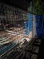 Bouwstaalmat enlosse stroken rond 8, Ophalen