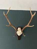 Herten Gewei, Huis en Inrichting, Ophalen, Zo goed als nieuw