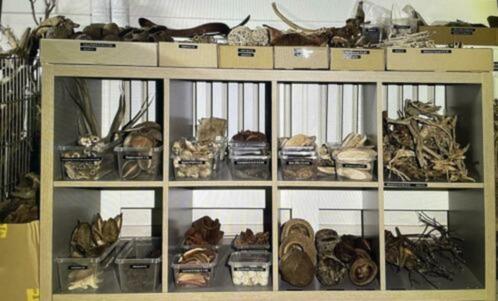 Aquarium natuurproducten, Dieren en Toebehoren, Vissen | Aquaria en Toebehoren, Nieuw, Overige typen, Ophalen of Verzenden