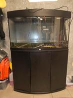 Juwel Vision 180 Aquarium, Ophalen, Zo goed als nieuw, Leeg aquarium