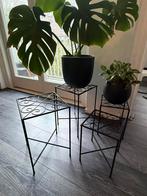 Plantenstandaard plantentafel plantenhouder, Ophalen of Verzenden, Zo goed als nieuw, Rond, 55 tot 75 cm