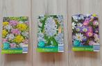 Kleine sierui mix 35 - Buishyacint 25 - Bosanemonen 15, Ophalen, Najaar, Halfschaduw, Bloembol