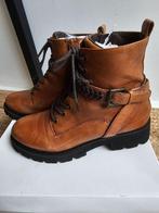 * Steve Madden boots Nieuw in doos *, Bruin, Lage of Enkellaarzen, Steve Madden, Nieuw