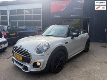 Mini Mini Cabrio MINI Cooper John Works 1.5 Chili Cabrio beschikbaar voor biedingen