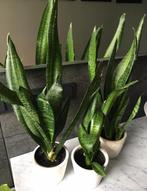 Vintage luxe jaren’50 terracotta bloempotten diverse, Rond, Binnen, Ophalen of Verzenden, Zo goed als nieuw