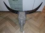 Mooie gegraveerde koeiekop decoratie, Huis en Inrichting, Ophalen of Verzenden