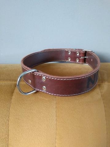 Hondenhalsband 60 cm echt dik leer. beschikbaar voor biedingen