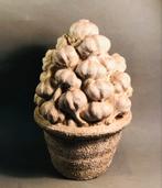 Kunststof pot met knoflookbollen, als decoratie in de keuken, Ophalen of Verzenden