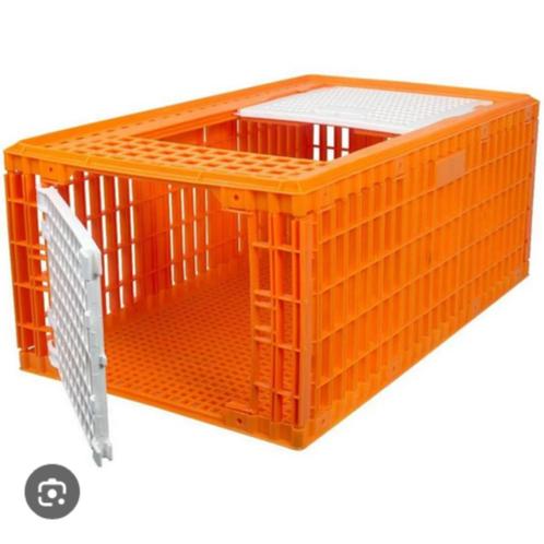 Transportkist voor pluimvee, nieuw, Dieren en Toebehoren, Pluimvee | Toebehoren, Nieuw, Drinken en Voederen, Ophalen