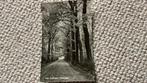 Ansichtkaart Gendringen Laan Engbergen 1960. 924, Ophalen of Verzenden, 1960 tot 1980, Gelopen, Gelderland