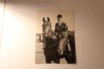 Z/w Paarden Postkaart - Fritz Tiedemann op Meteor en Halla, Verzamelen, Ansichtkaarten | Dieren, 1940 tot 1960, Paard, Ongelopen