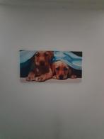 Poster canvas honden, Antiek en Kunst, Ophalen of Verzenden
