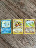 Setje Jungle kaarten, Hobby en Vrije tijd, Verzamelkaartspellen | Pokémon, Ophalen of Verzenden, Zo goed als nieuw, Meerdere kaarten