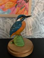 Ijsvogelbeeldje in stolp ruilen of kopen, Mannelijk